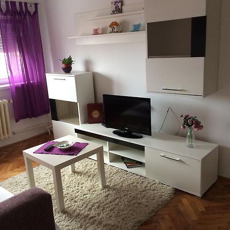 Tami Apartment Novi Sad Extérieur photo