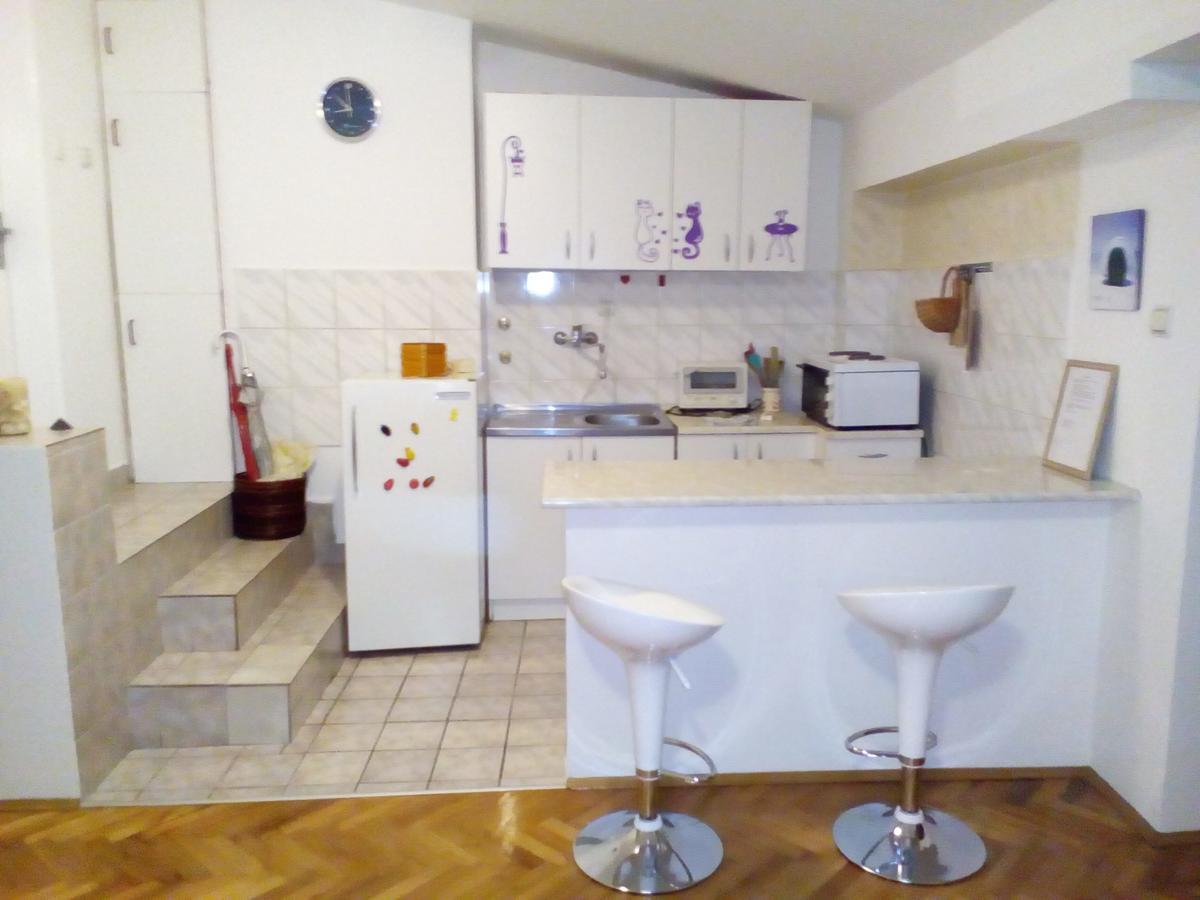 Tami Apartment Novi Sad Extérieur photo