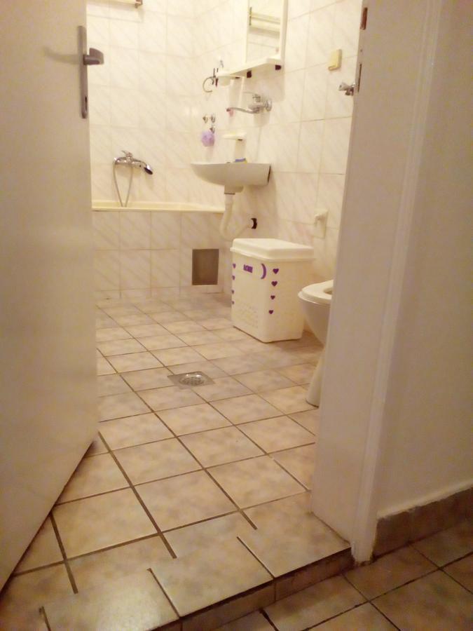 Tami Apartment Novi Sad Extérieur photo