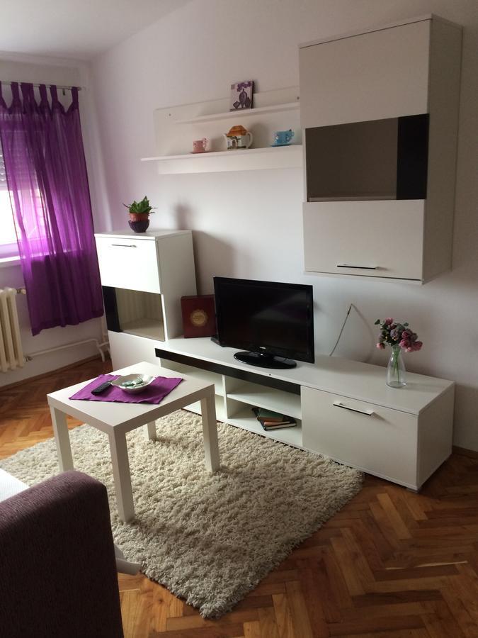 Tami Apartment Novi Sad Extérieur photo