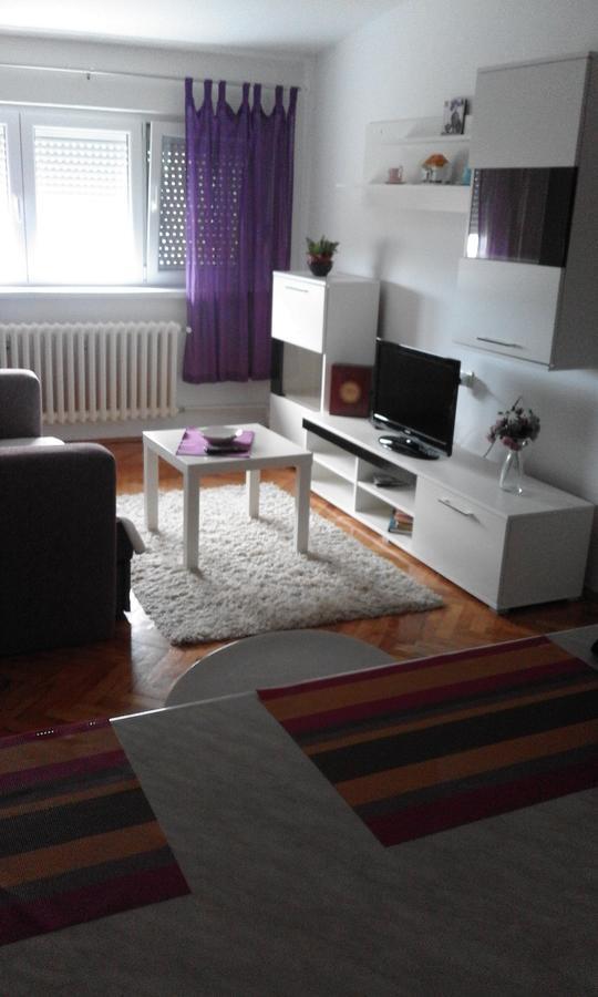 Tami Apartment Novi Sad Extérieur photo